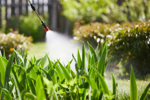 Tamper-Resistant Bait Stations for Rodents in Kenova