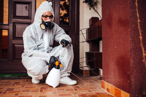 Attic and Crawl Space Rodent Treatment in Kenova