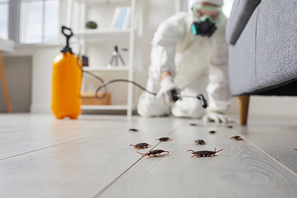 Commercial Rodent Management in Kenova
